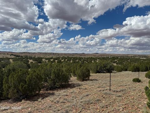 Tiny photo for TBD Falcon Drive, Taylor, AZ 85939 (MLS # 257999)