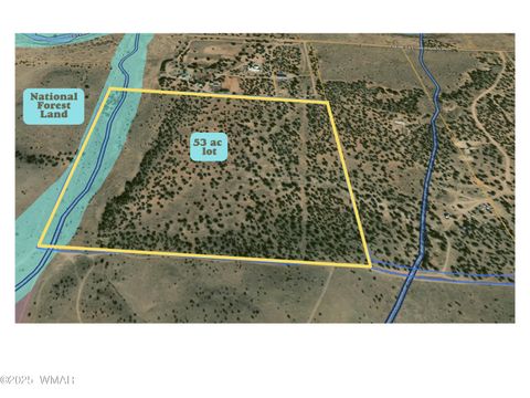Tiny photo for TBD Falcon Drive, Taylor, AZ 85939 (MLS # 257999)