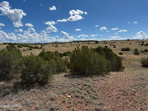 Tiny photo for TBD Falcon Drive, Taylor, AZ 85939 (MLS # 257999)