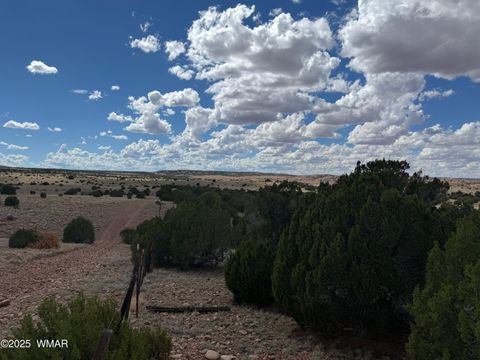 Tiny photo for TBD Falcon Drive, Taylor, AZ 85939 (MLS # 257999)
