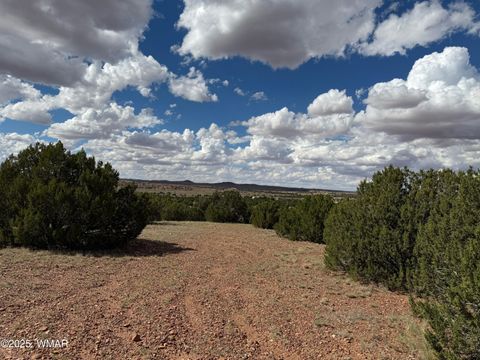 Tiny photo for TBD Falcon Drive, Taylor, AZ 85939 (MLS # 257999)