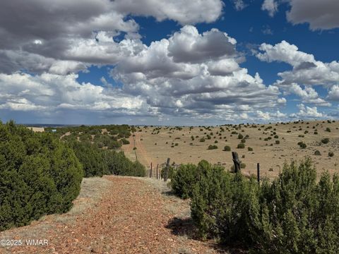 Photo of TBD Falcon Drive, Taylor, AZ 85939 (MLS # 257999)