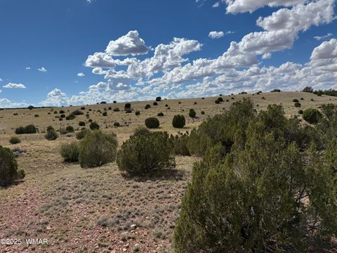 Tiny photo for TBD Falcon Drive, Taylor, AZ 85939 (MLS # 257999)