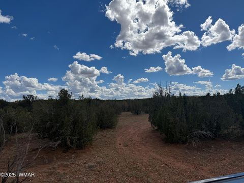 Tiny photo for TBD Falcon Drive, Taylor, AZ 85939 (MLS # 257999)