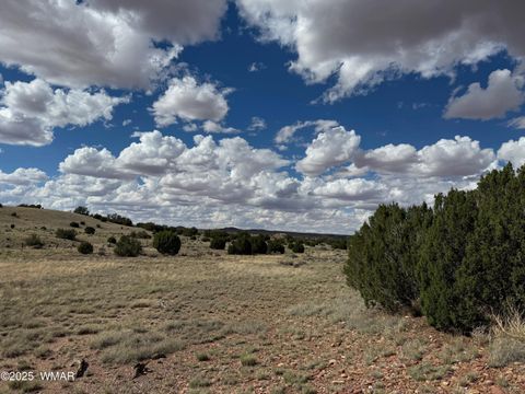 Tiny photo for TBD Falcon Drive, Taylor, AZ 85939 (MLS # 257999)