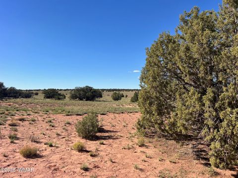 Tiny photo for 004 N9027, Concho, AZ 85924 (MLS # 258319)