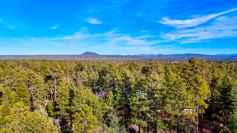 Tiny photo for 6101 E Starlight Ridge Road, Lakeside, AZ 85929 (MLS # 259738)