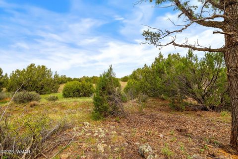 Tiny photo for 9 N3479, Vernon, AZ 85940 (MLS # 256873)