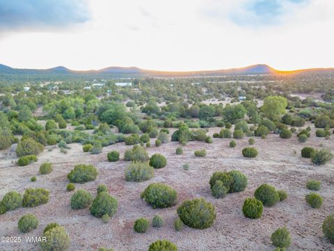 Tiny photo for 9 N3479, Vernon, AZ 85940 (MLS # 256873)