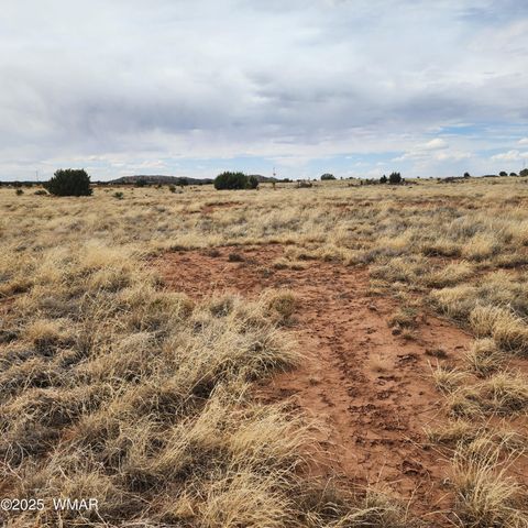 Tiny photo for 5506 Glasgow Drive, Snowflake, AZ 85937 (MLS # 256291)