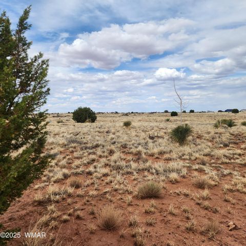 Tiny photo for 5506 Glasgow Drive, Snowflake, AZ 85937 (MLS # 256291)
