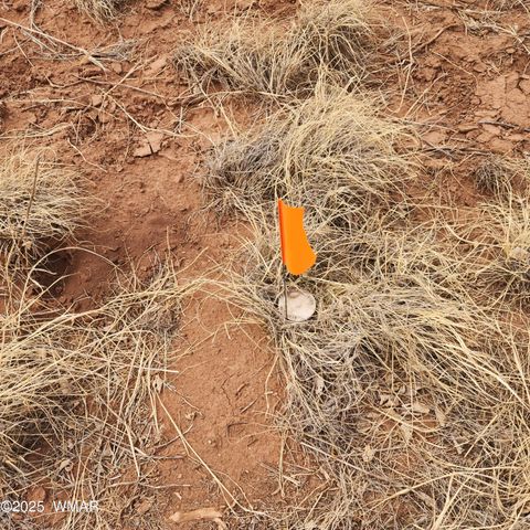 Tiny photo for 5506 Glasgow Drive, Snowflake, AZ 85937 (MLS # 256291)