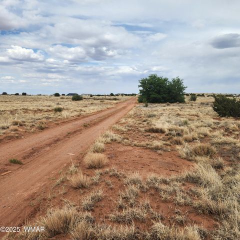 Tiny photo for 5506 Glasgow Drive, Snowflake, AZ 85937 (MLS # 256291)