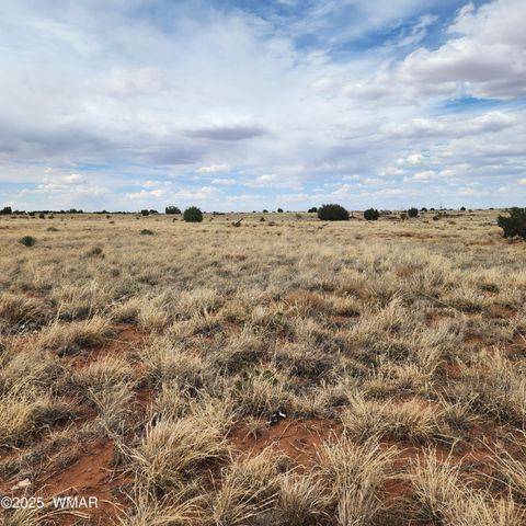 Tiny photo for 5506 Glasgow Drive, Snowflake, AZ 85937 (MLS # 256291)