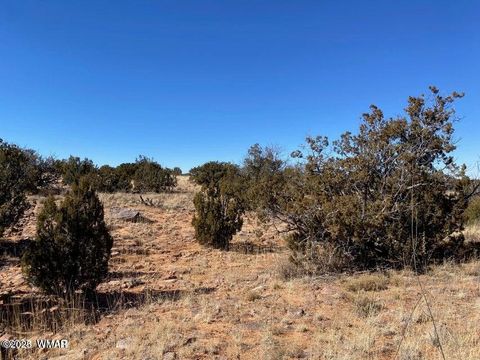 Tiny photo for 2410 Old Woodruff Road, Snowflake, AZ 85937 (MLS # 255323)