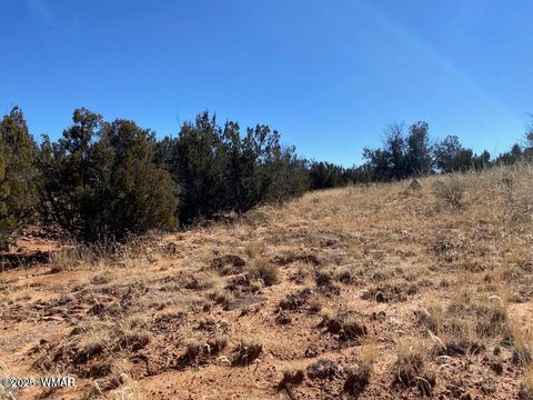 Tiny photo for 2410 Old Woodruff Road, Snowflake, AZ 85937 (MLS # 255323)