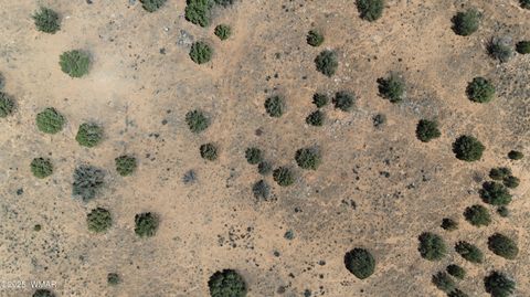Tiny photo for 2410 Old Woodruff Road, Snowflake, AZ 85937 (MLS # 255323)