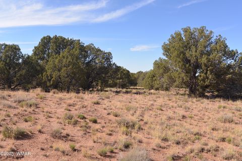 Tiny photo for 2410 Old Woodruff Road, Snowflake, AZ 85937 (MLS # 255323)