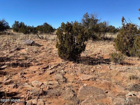 Tiny photo for 2410 Old Woodruff Road, Snowflake, AZ 85937 (MLS # 255323)
