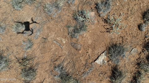 Tiny photo for 2410 Old Woodruff Road, Snowflake, AZ 85937 (MLS # 255323)
