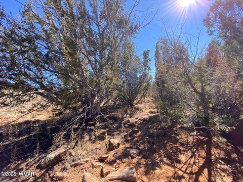 Tiny photo for 2410 Old Woodruff Road, Snowflake, AZ 85937 (MLS # 255323)