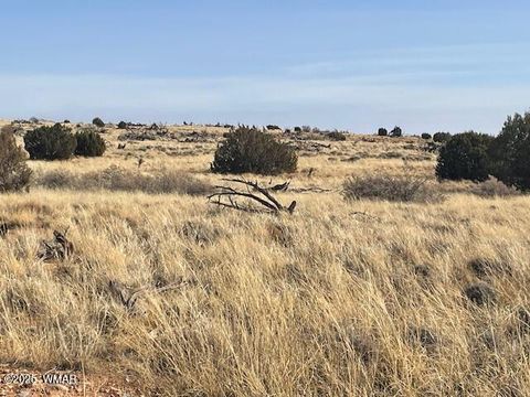 Photo of TBD John Drive, Snowflake, AZ 85937 (MLS # 254346)