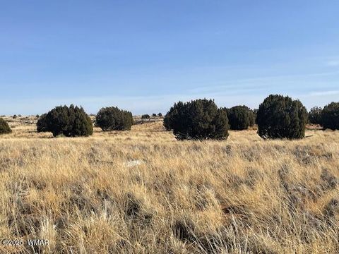 Tiny photo for TBD John Drive, Snowflake, AZ 85937 (MLS # 254346)