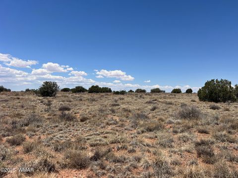 Tiny photo for 8492-B Holly Trail Trl, Snowflake, AZ 85937 (MLS # 256599)