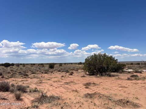 Tiny photo for 8492-B Holly Trail Trl, Snowflake, AZ 85937 (MLS # 256599)