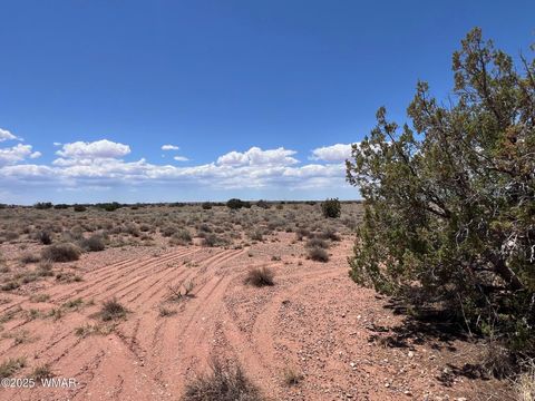Tiny photo for 8492-B Holly Trail Trl, Snowflake, AZ 85937 (MLS # 256599)