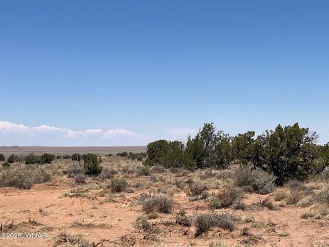 Tiny photo for 8492-B Holly Trail Trl, Snowflake, AZ 85937 (MLS # 256599)