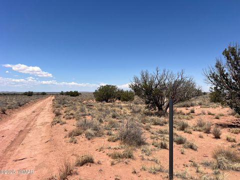 Tiny photo for 8492-B Holly Trail Trl, Snowflake, AZ 85937 (MLS # 256599)