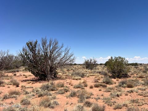Tiny photo for 8492-B Holly Trail Trl, Snowflake, AZ 85937 (MLS # 256599)