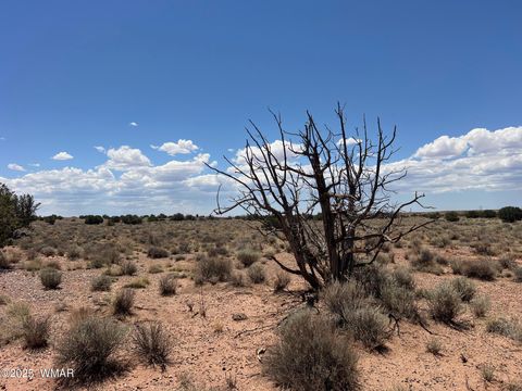 Tiny photo for 8492-B Holly Trail Trl, Snowflake, AZ 85937 (MLS # 256599)