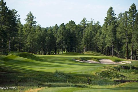 Tiny photo for 1900 S Monkshood Road, Show Low, AZ 85901 (MLS # 260109)