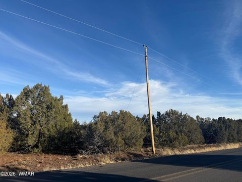Photo of 136 Acr 3148, Vernon, AZ 85940 (MLS # 259569)