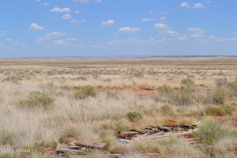 Tiny photo for 5661 Valley Road, Snowflake, AZ 85937 (MLS # 255449)