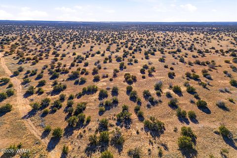 Tiny photo for SW4 NW4 Section 4 T14N R16E, Heber, AZ 85928 (MLS # 259235)