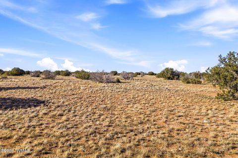 Tiny photo for SW4 NW4 Section 4 T14N R16E, Heber, AZ 85928 (MLS # 259235)
