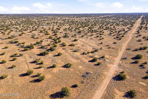 Tiny photo for SW4 NW4 Section 4 T14N R16E, Heber, AZ 85928 (MLS # 259235)