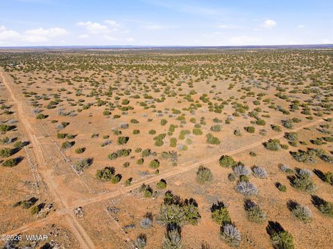 Tiny photo for SW4 NW4 Section 4 T14N R16E, Heber, AZ 85928 (MLS # 259235)