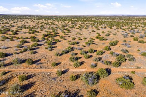 Tiny photo for SW4 NW4 Section 4 T14N R16E, Heber, AZ 85928 (MLS # 259235)