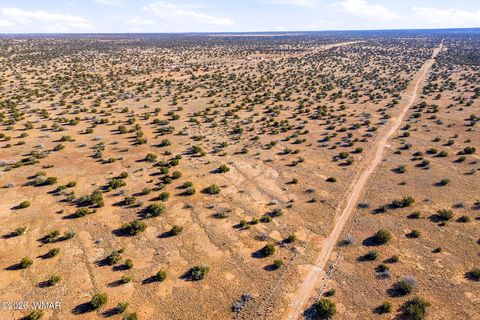 Tiny photo for SW4 NW4 Section 4 T14N R16E, Heber, AZ 85928 (MLS # 259235)