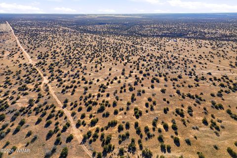 Tiny photo for SW4 NW4 Section 4 T14N R16E, Heber, AZ 85928 (MLS # 259235)