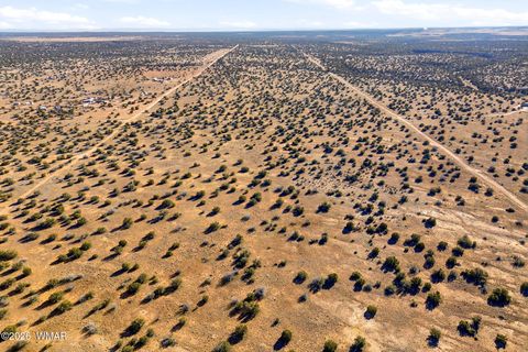 Tiny photo for SW4 NW4 Section 4 T14N R16E, Heber, AZ 85928 (MLS # 259235)