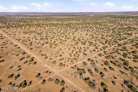 Tiny photo for SW4 NW4 Section 4 T14N R16E, Heber, AZ 85928 (MLS # 259235)