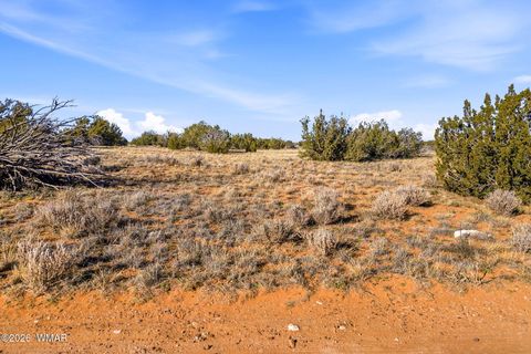Photo of SW4 NW4 Section 4 T14N R16E, Heber, AZ 85928 (MLS # 259235)