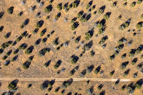 Tiny photo for SW4 NW4 Section 4 T14N R16E, Heber, AZ 85928 (MLS # 259235)