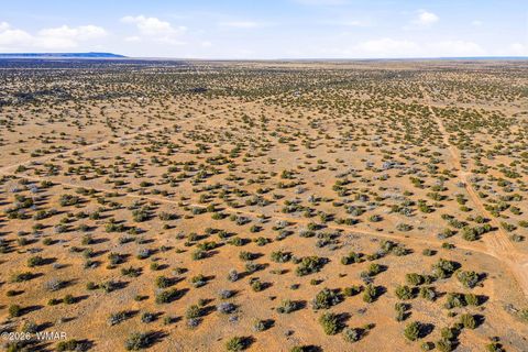 Tiny photo for SW4 NW4 Section 4 T14N R16E, Heber, AZ 85928 (MLS # 259235)