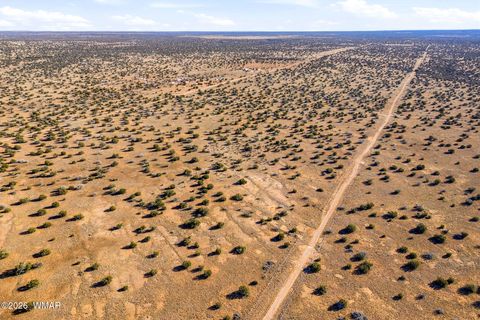 Tiny photo for SW4 NW4 Section 4 T14N R16E, Heber, AZ 85928 (MLS # 259235)